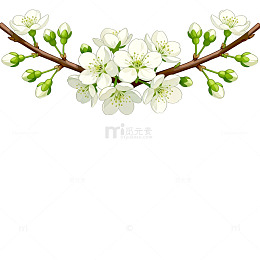 春天樱花盛开插画