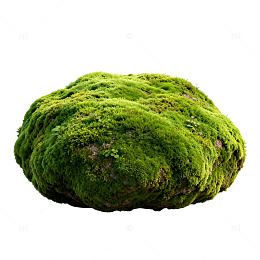 绿色苔藓球自然元素