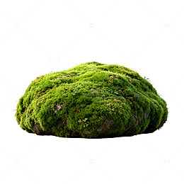 绿色苔藓球自然装饰