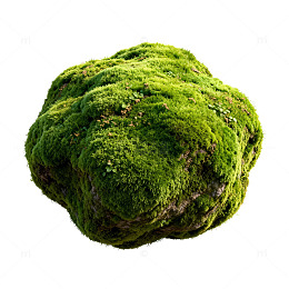 自然风苔藓球景观装饰素材