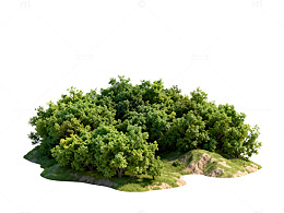 自然风景树木小岛模型