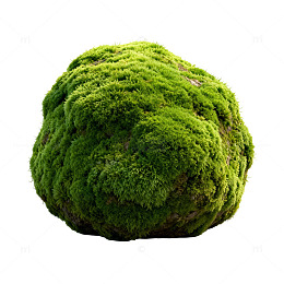 绿色苔藓球自然装饰素材