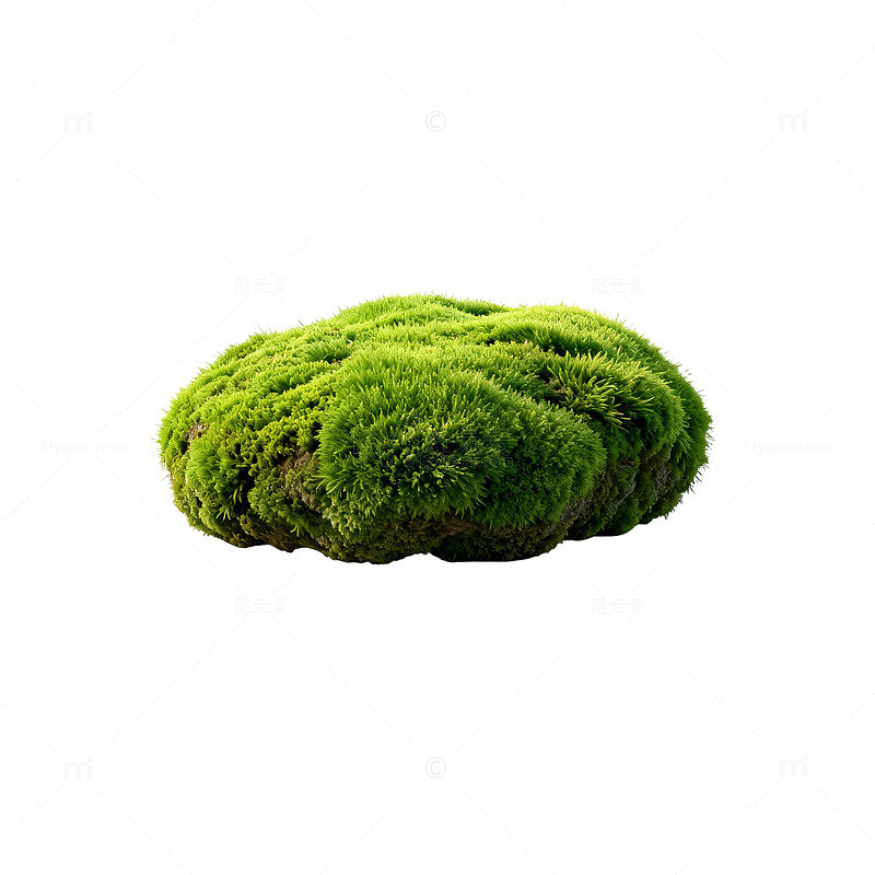 绿色苔藓球装饰素材