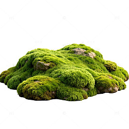 绿色苔藓岩石景观素材
