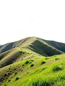 绿意山丘自然风光片