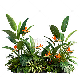 热带植物盆栽装饰设计素材