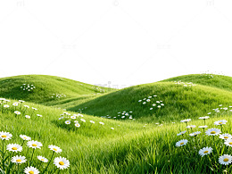 田园风光绿草地野花背景