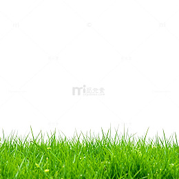 绿草清新自然风景图