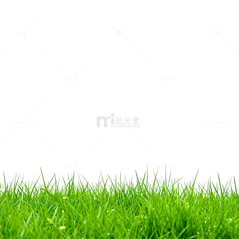 绿草清新自然风景图