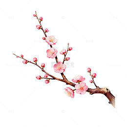 水墨风梅花枝条装饰画素材