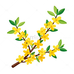 迎春花卡通插画