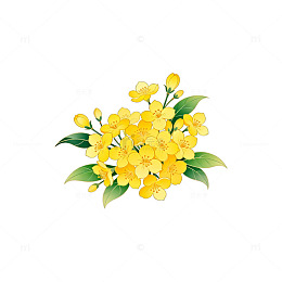 手绘黄色花卉插画