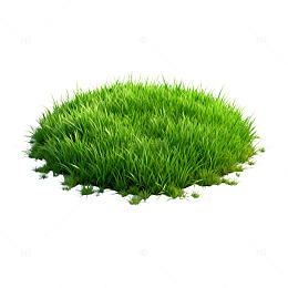 3D草地模型渲染效果