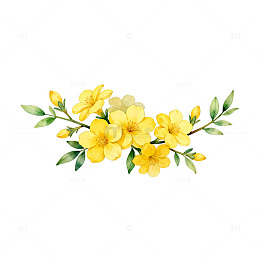 水彩花卉装饰图案插画