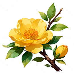 插画风格黄色花朵矢量素材