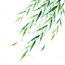 水彩柳叶装饰图案设计素材