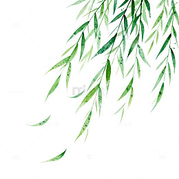 水墨风柳叶艺术插画素材