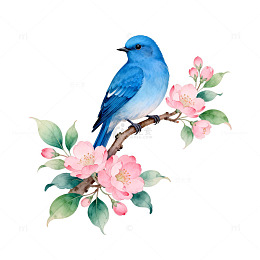 水彩花鸟装饰画素材