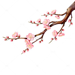 梅花枝插画素材