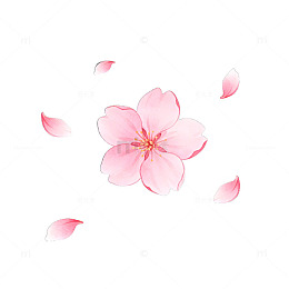 浪漫樱花花瓣飞舞艺术图片