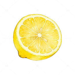柠檬插画设计素材