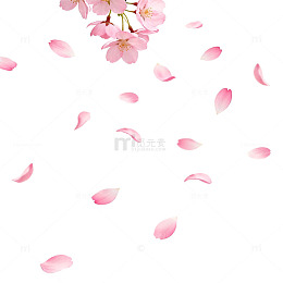 樱花飘落春意浓插画素材