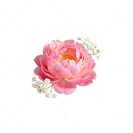 粉色牡丹花饰品