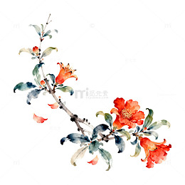 水彩花卉装饰画