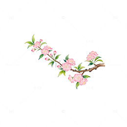 水彩花枝春天花卉装饰图案