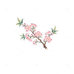 水彩樱花插画装饰元素
