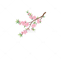 樱花插画风格春天花卉装饰素材