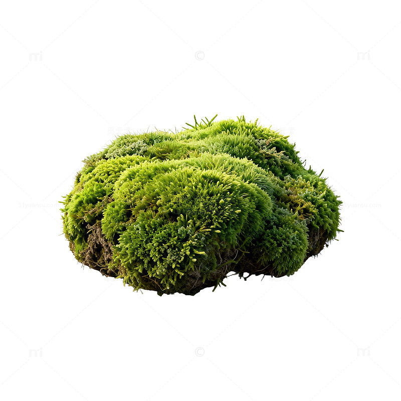 绿色苔藓球景观装饰素材