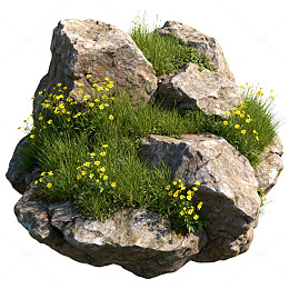 山石花草景观素材