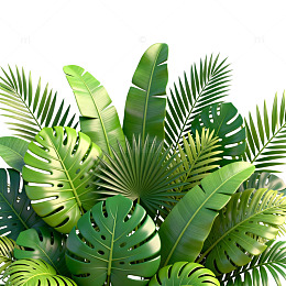 热带植物插画背景设计素材