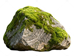 自然风岩石苔藓片