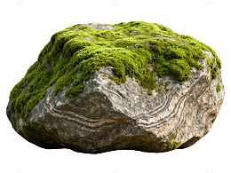 苔藓覆盖巨石自然景观