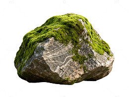 自然风岩石苔藓景观