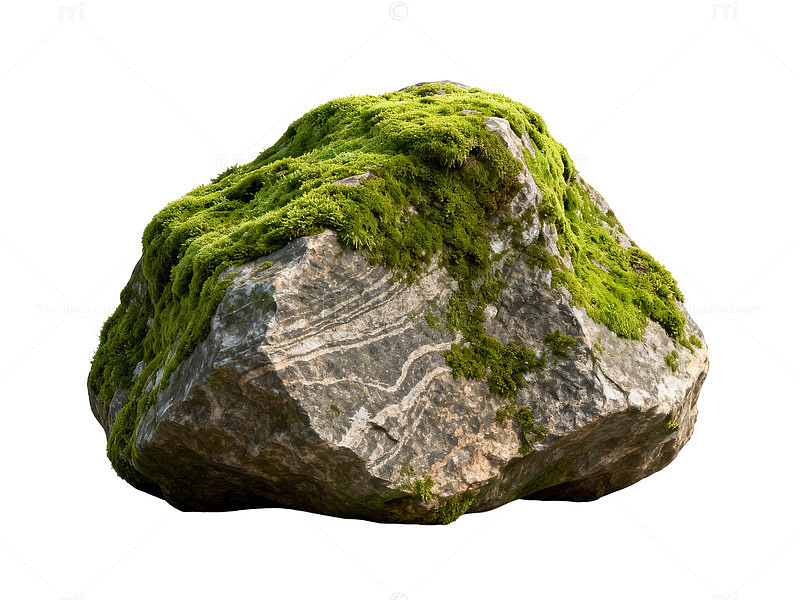 自然风岩石苔藓景观