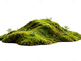 绿色苔藓小山景观