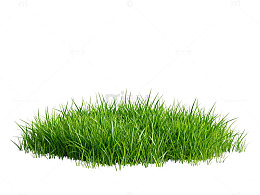 绿草生机勃勃自然景象