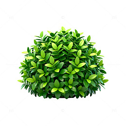 绿植球体设计素材