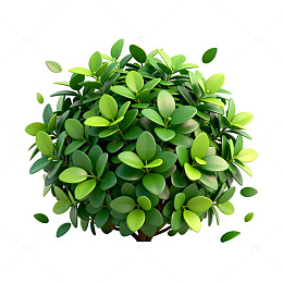 绿色植物球形素材