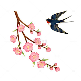 春天樱花燕子插画