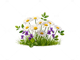 清新田园风花卉矢量插画