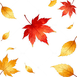 秋叶飘落水彩画