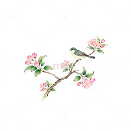 水墨花鸟插画设计元素
