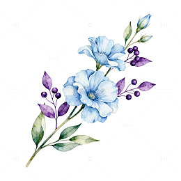 水彩花卉装饰图案设计素材