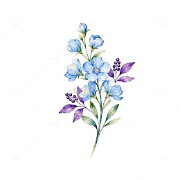 水彩花卉装饰图案插画设计素材