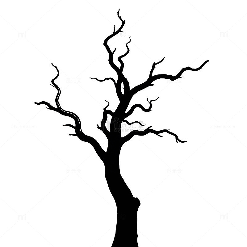 黑色剪影枯树