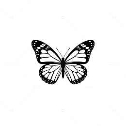 简约黑白蝴蝶图案